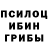 Галлюциногенные грибы Psilocybe sii jay