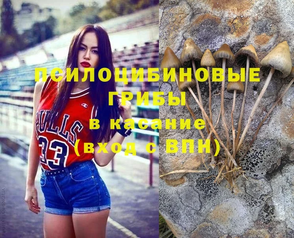 кокс Гусь-Хрустальный