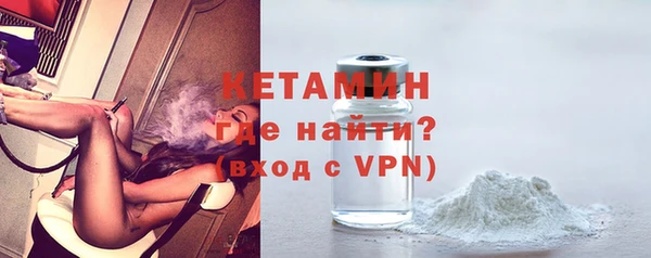 стаф Гусев