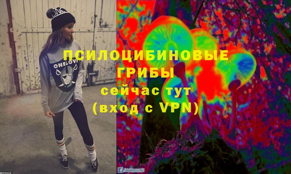 стаф Гусев
