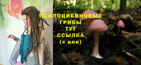 a pvp Гусиноозёрск