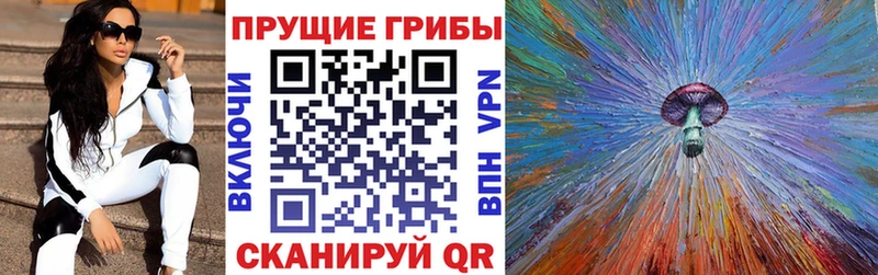Псилоцибиновые грибы Cubensis  Меленки 